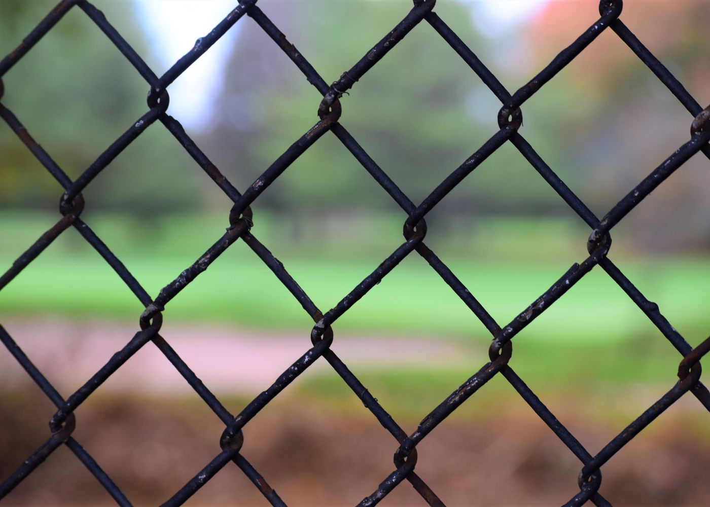 Close-up of black chain-link fence fabric